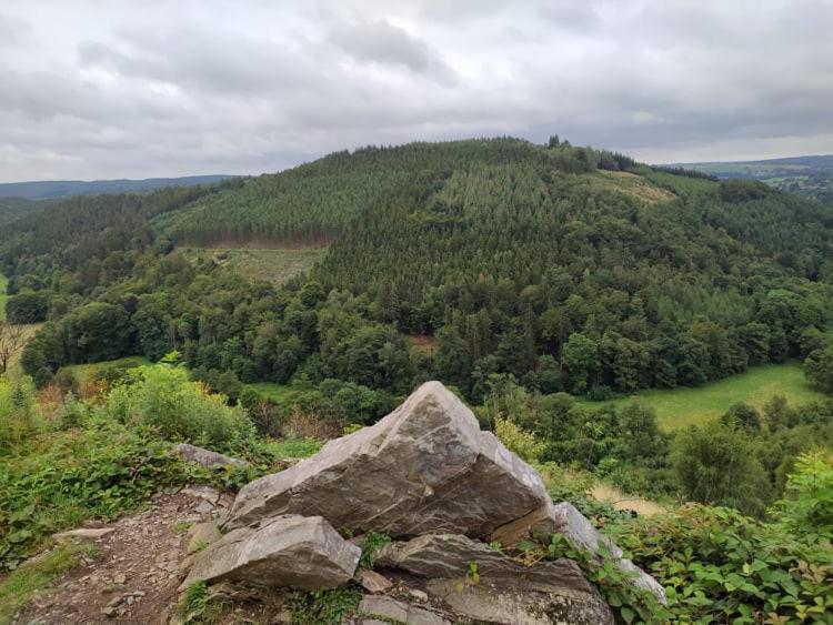 Gite De Charme Rosardenne Vaux-sur-Sure Esterno foto