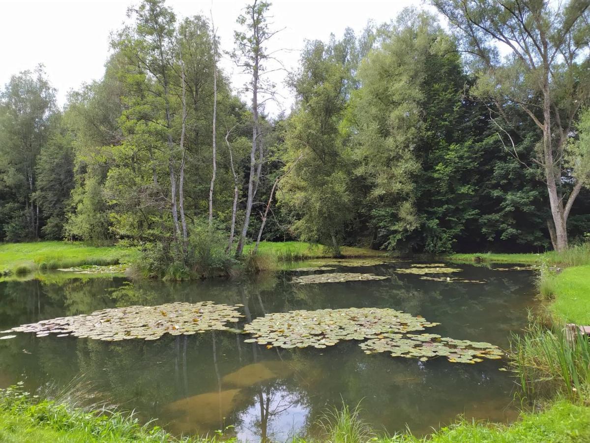 Gite De Charme Rosardenne Vaux-sur-Sure Esterno foto